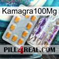 Kamagra100Mg new12